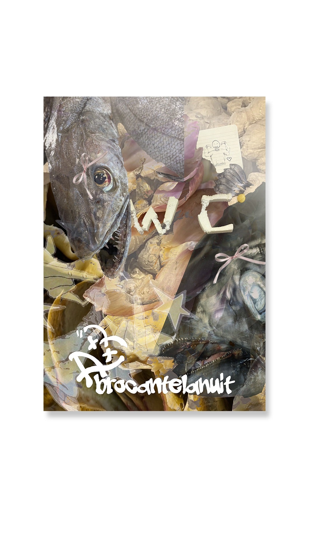 Poster LA POISCAILLE DE CHEZ RAGUENES